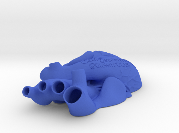 Apical 5 chamber, TOP in Blue Processed Versatile Plastic