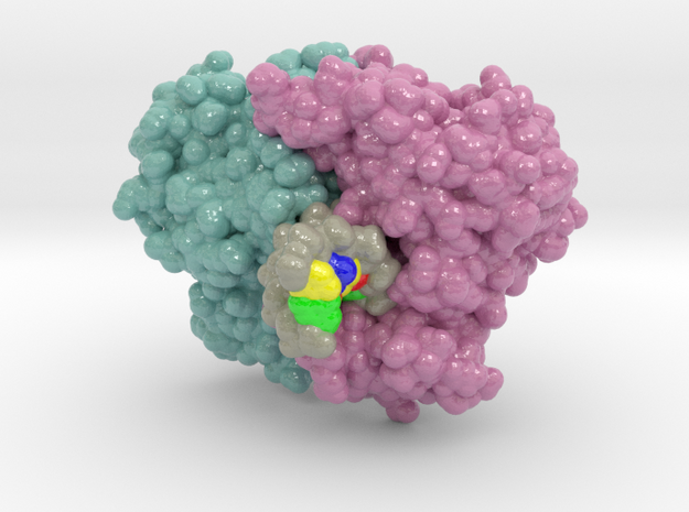 SgrA DNA Complex 3DVO in Glossy Full Color Sandstone: Extra Small