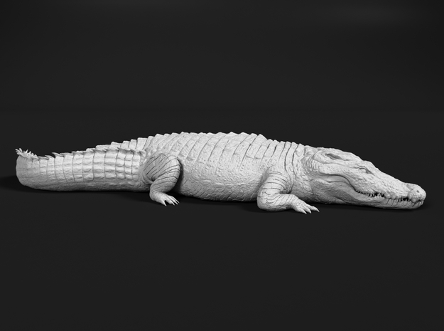 Nile Crocodile 1:16 Sunbathing in White Natural Versatile Plastic