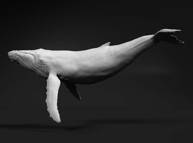 Humpback Whale 1:220 Swimming Male in Tan Fine Detail Plastic
