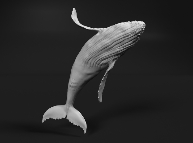 Humpback Whale 1:25 Breaching Female 1 in White Natural Versatile Plastic