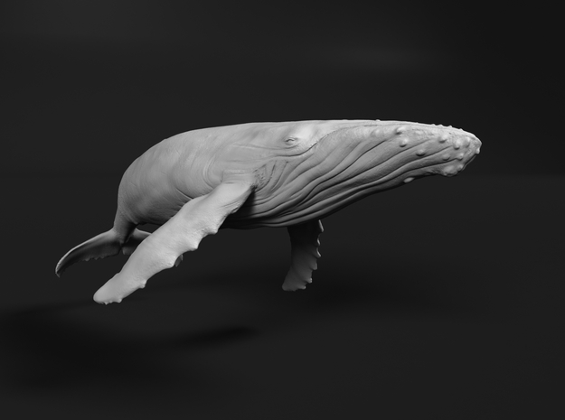 Humpback Whale 1:48 Swimming Female in White Natural Versatile Plastic