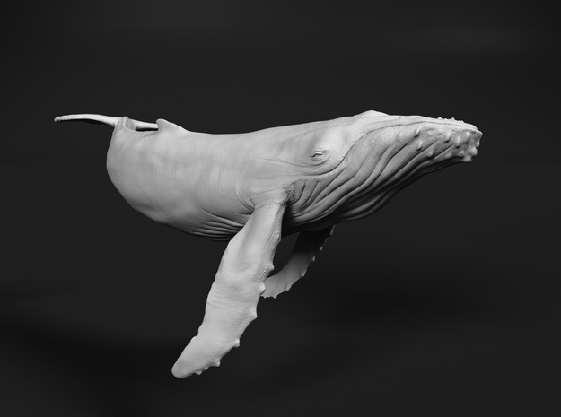 Humpback Whale 1:87 Swimming Calf in White Natural Versatile Plastic