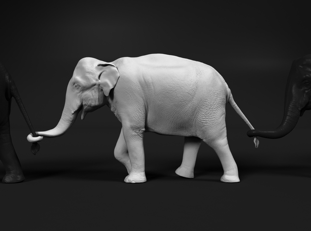 Indian Elephant 1:43 Female walking in a line 2 in White Natural Versatile Plastic