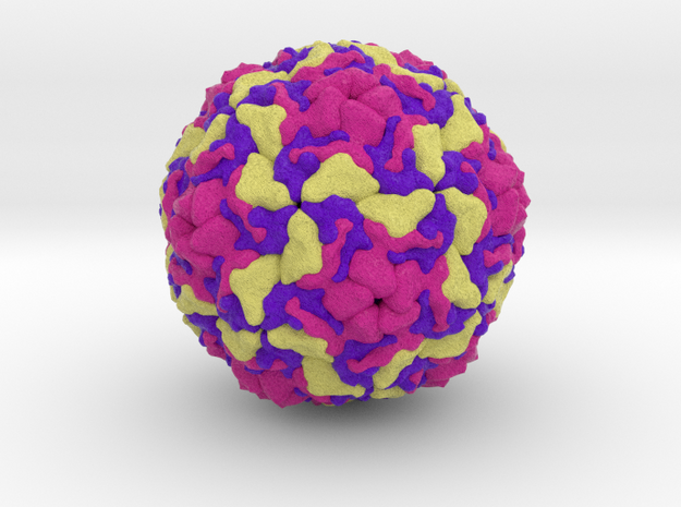 Infectious Enterovirus-E in Natural Full Color Sandstone