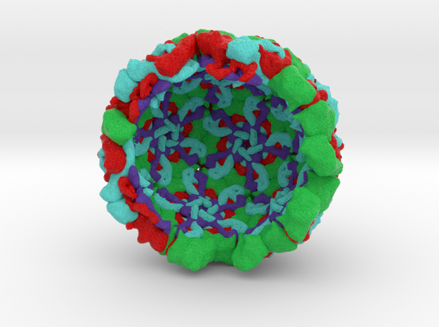 Infectious Enterovirus-E Half in Natural Full Color Sandstone