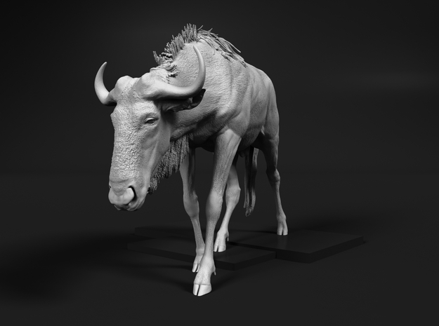 Blue Wildebeest 1:15 Male on uneven surface 2 in White Natural Versatile Plastic