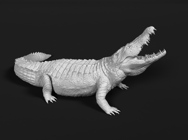 Nile Crocodile 1:20 Lifted head with mouth open in White Natural Versatile Plastic