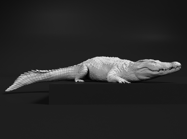 Nile Crocodile 1:20 Smaller one on river bank in White Natural Versatile Plastic