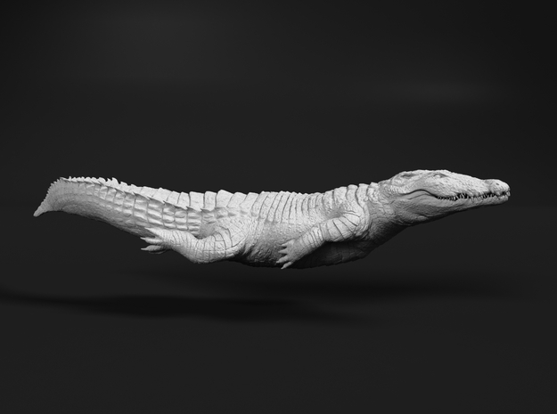 Nile Crocodile 1:35 Smaller one swimming in White Natural Versatile Plastic