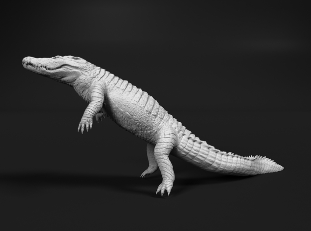 Nile Crocodile 1:22 Lying diagonal in water in White Natural Versatile Plastic