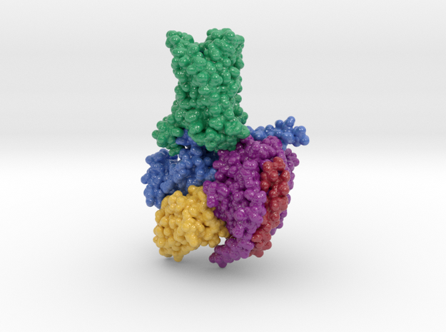 Adenosine A2A Receptor 6GDG in Glossy Full Color Sandstone: Small