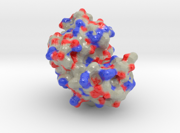 Lysozyme 50 million X in Glossy Full Color Sandstone