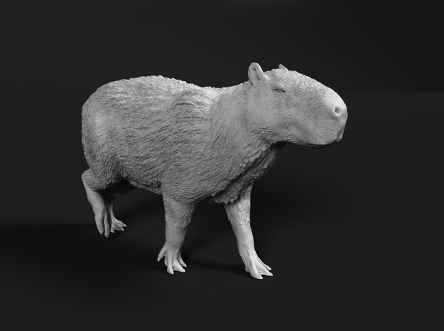 Capybara 1:9 Walking Male in White Natural Versatile Plastic