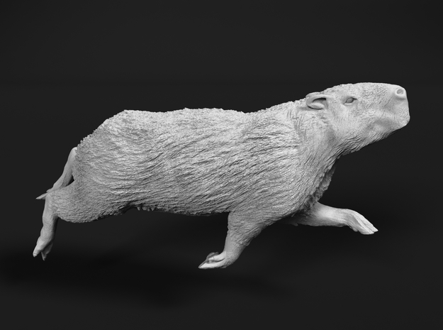 Capybara 1:9 Swimming Male in White Natural Versatile Plastic