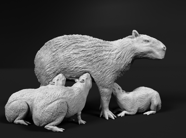 Capybara 1:16 Mother with three young in White Natural Versatile Plastic