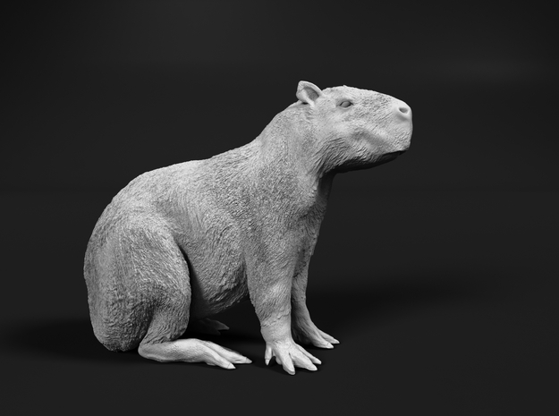 Capybara 1:6 Sitting Young in White Natural Versatile Plastic
