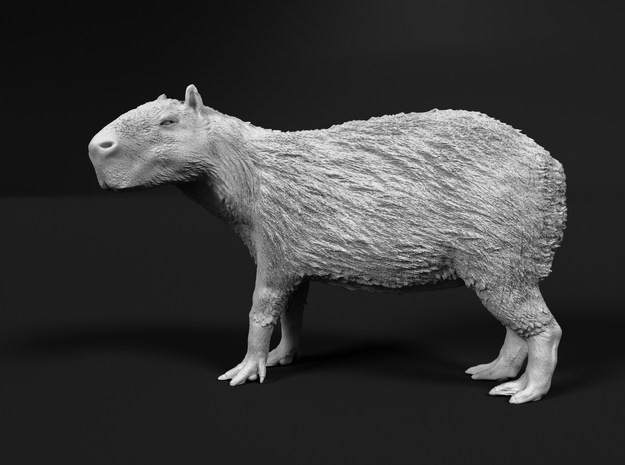 Capybara 1:16 Standing Female in White Natural Versatile Plastic