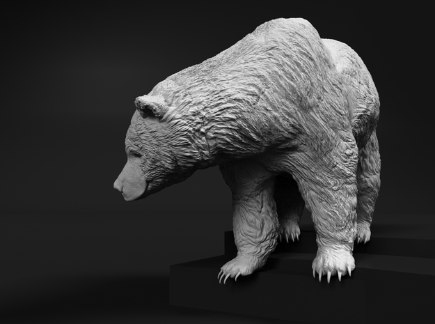 Grizzly Bear 1:6 Female standing in waterfall in White Natural Versatile Plastic
