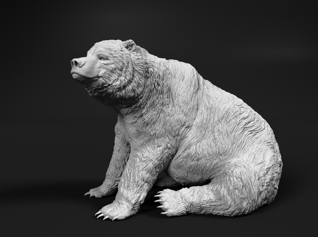 Grizzly Bear 1:16 Sitting Male in White Natural Versatile Plastic