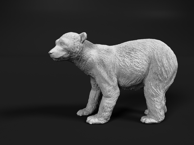 Polar Bear 1:6 Standing Juvenile in White Natural Versatile Plastic