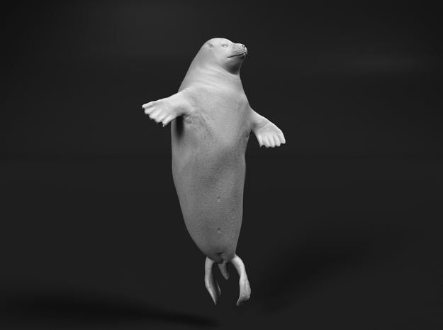 Ringed Seal 1:9 Head above the water in White Natural Versatile Plastic