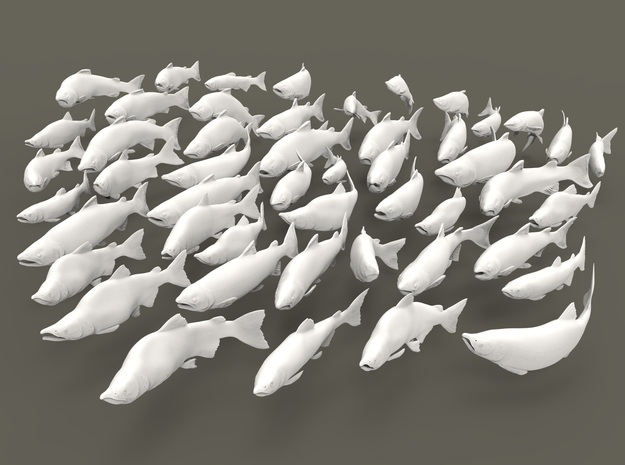 Pacific Salmon 1:35 Set of 50 unique models in Smooth Fine Detail Plastic