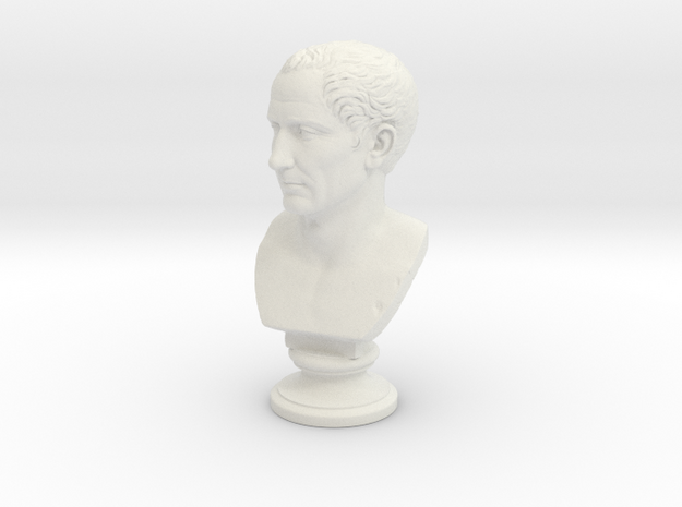 Farnese Caesar in White Natural Versatile Plastic