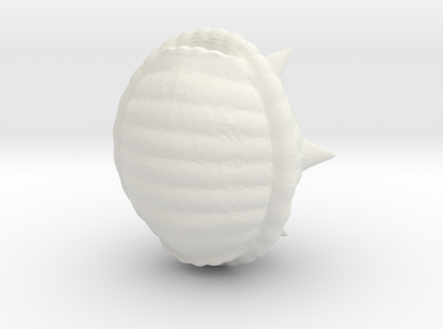 Spikey Shell Small in White Natural Versatile Plastic