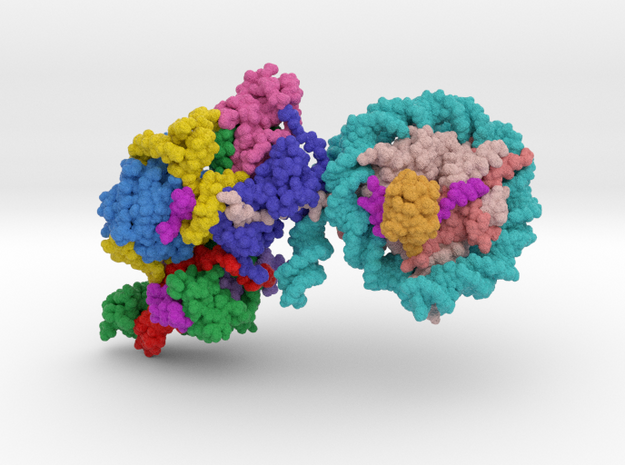 Nucleosome PRC2 6WKR in Matte High Definition Full Color: Medium