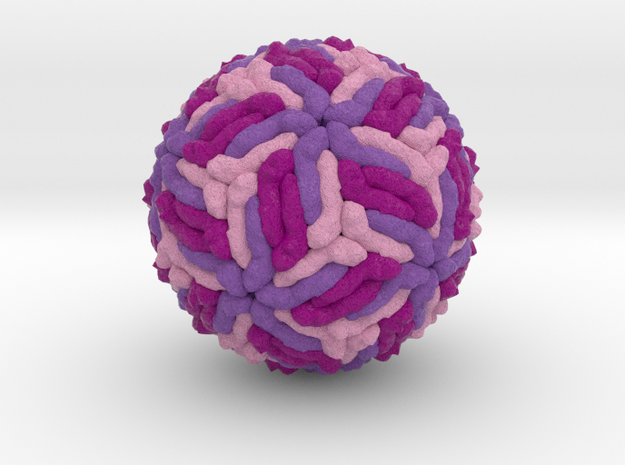 Spondweni Virus in Natural Full Color Sandstone