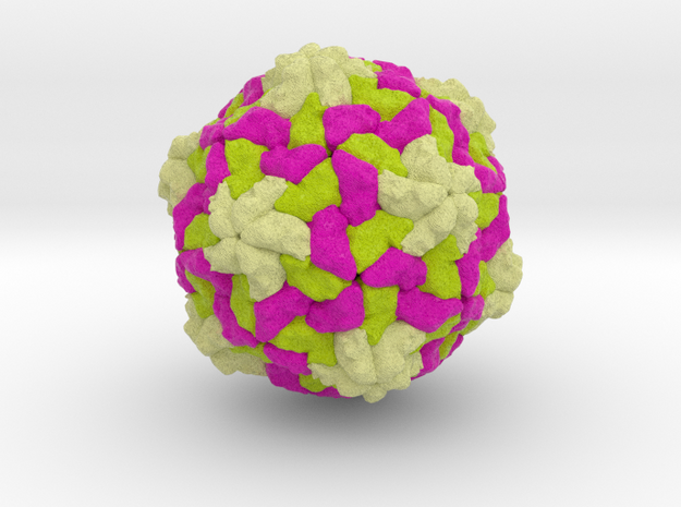 Apple Latent Spherical Virus in Natural Full Color Sandstone