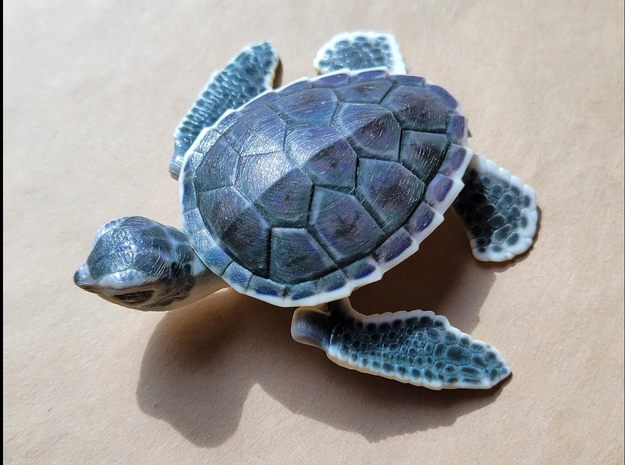Full-Color Articulated Sea Turtle in Standard High Definition Full Color