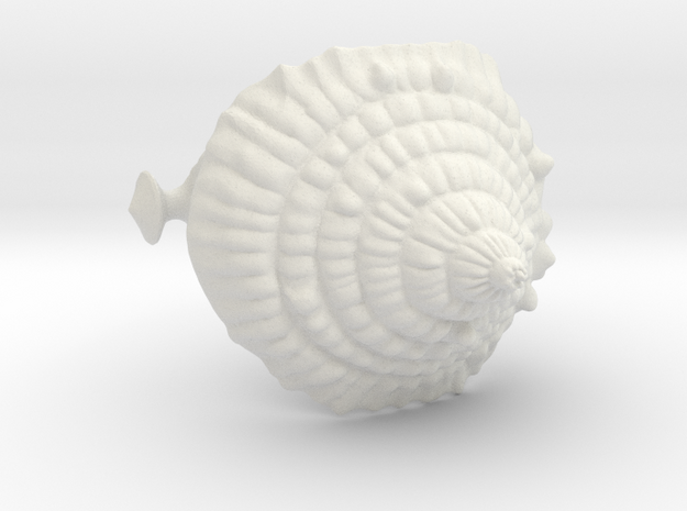 Sea Knee/ Elbow Pad "Sea Snail" in White Natural Versatile Plastic