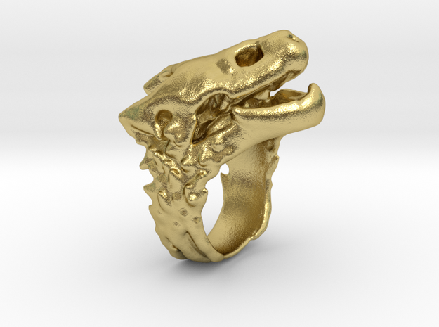 snapping-turtle-skull-ring-59.60mm in Natural Brass: 9.25 / 59.625