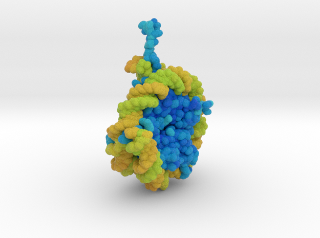Nucleosome 1AOI in Matte High Definition Full Color: Extra Small