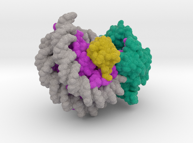 Nucleosome 6FTX in Matte High Definition Full Color: Extra Small