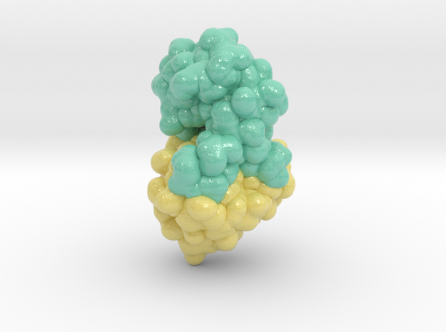 Bacteriophage T4 Lysozyme 256L in Glossy Full Color Sandstone: Extra Small