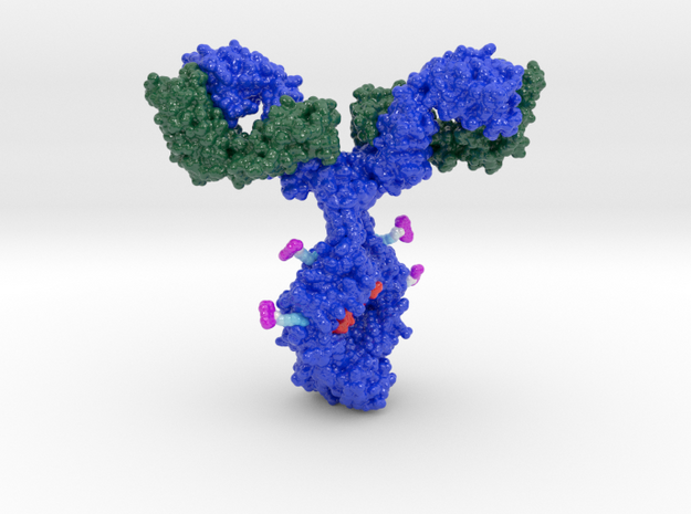 Antibody Drug Conjugate - Debiopharm (Macro) in Glossy Full Color Sandstone: Large