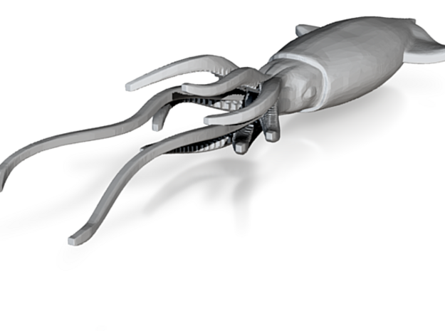 Realistic giant squid / Architeuthis dux in Tan Fine Detail Plastic