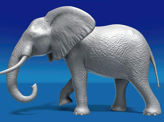 African Elephant in White Natural Versatile Plastic: 1:60