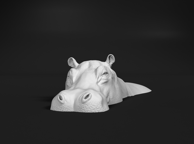 Hippopotamus 1:10 Lying in Water 1 in White Natural Versatile Plastic