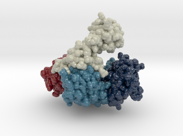 DNA Polymerase 1KTQ in Glossy Full Color Sandstone: Medium
