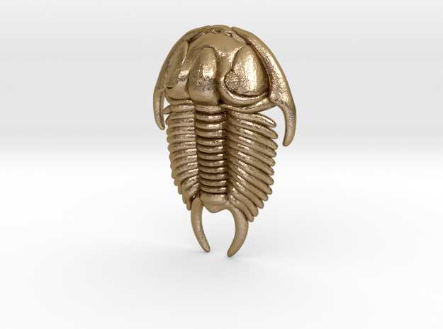Tricrepicephalus Trilobite Sculpture in Polished Gold Steel