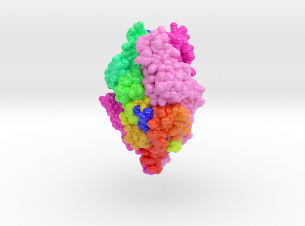 RSV Fusion Glycoprotein Prefusion 5TDL in Glossy Full Color Sandstone: Small