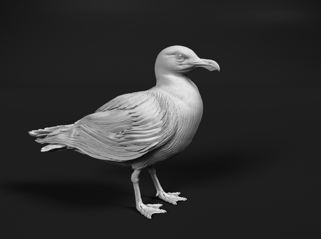 Glaucous Gull 1:16 Standing 2 in Tan Fine Detail Plastic