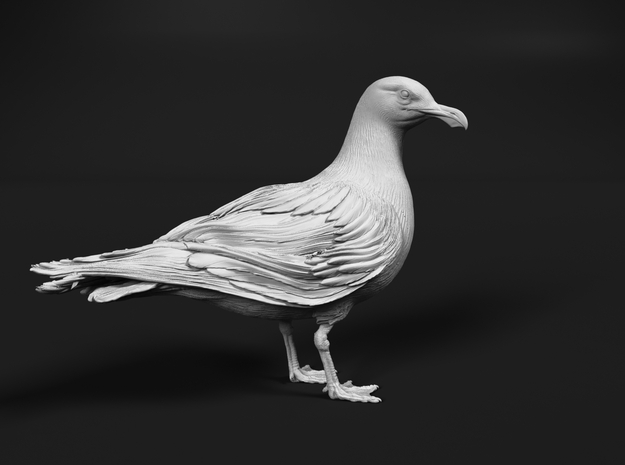 Glaucous Gull 1:16 Standing 3 in Tan Fine Detail Plastic