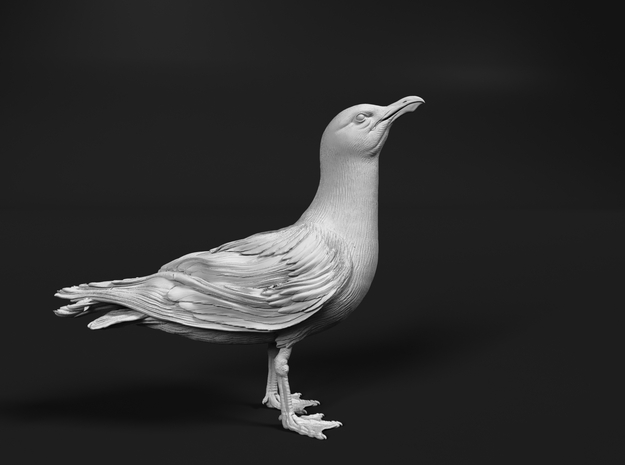 Herring Gull 1:24 Looking up in Tan Fine Detail Plastic