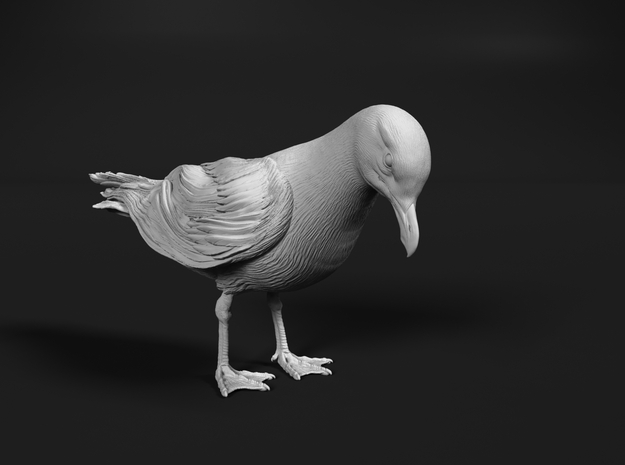Herring Gull 1:48 Looking down 1 in Tan Fine Detail Plastic