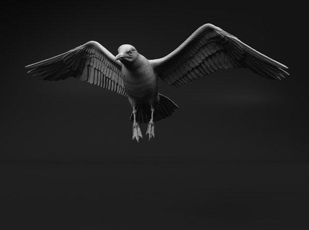 Herring Gull 1:24 Flying 3 in Tan Fine Detail Plastic
